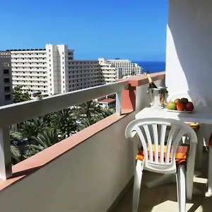 https://in-las-americas-with-amazing-view.in-canary-islands.com